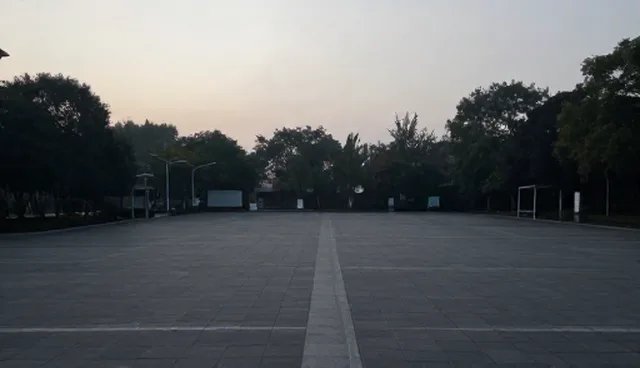 线上店铺运营:高效选型的取舍与建议